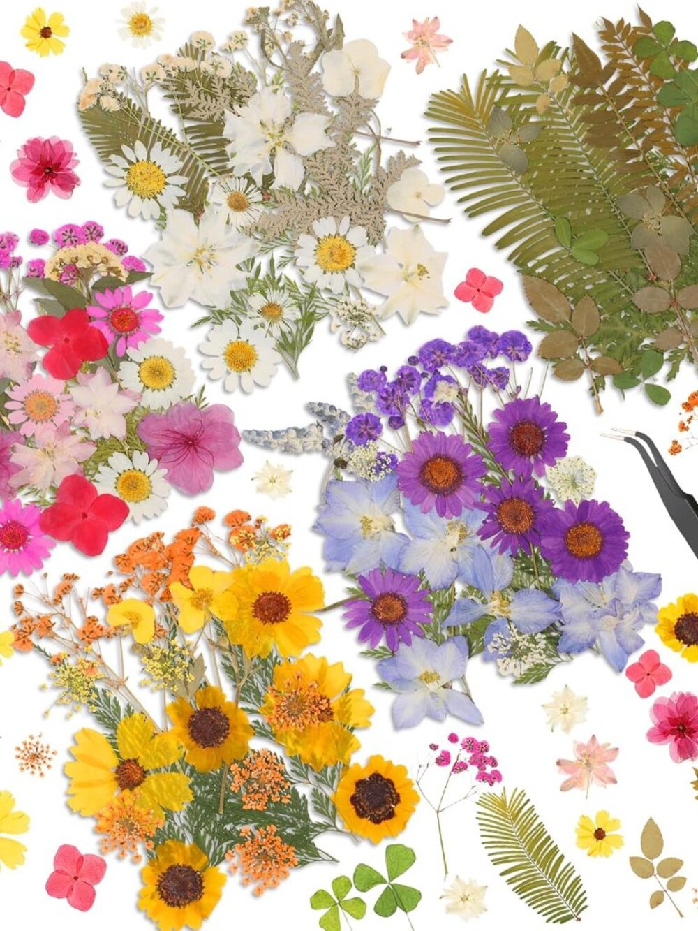 Dried Pressed Flowers for Resin, Real Pressed Flowers Dry Leaves Bulk Natural He